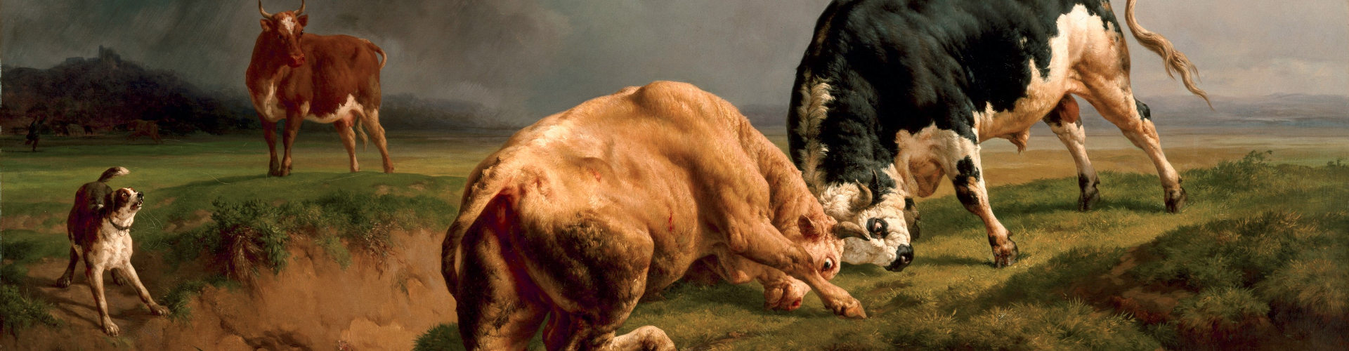 Figure 1: Jacques Raymond Brascassat - A Bull Fight (1855)